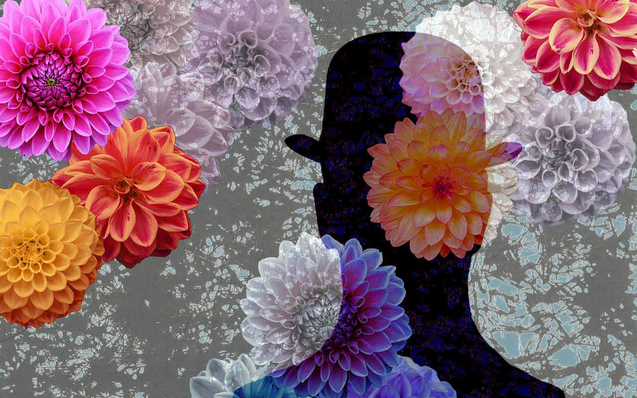 Travels with my Aunt